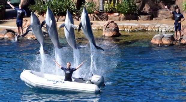 Leisure in Australia